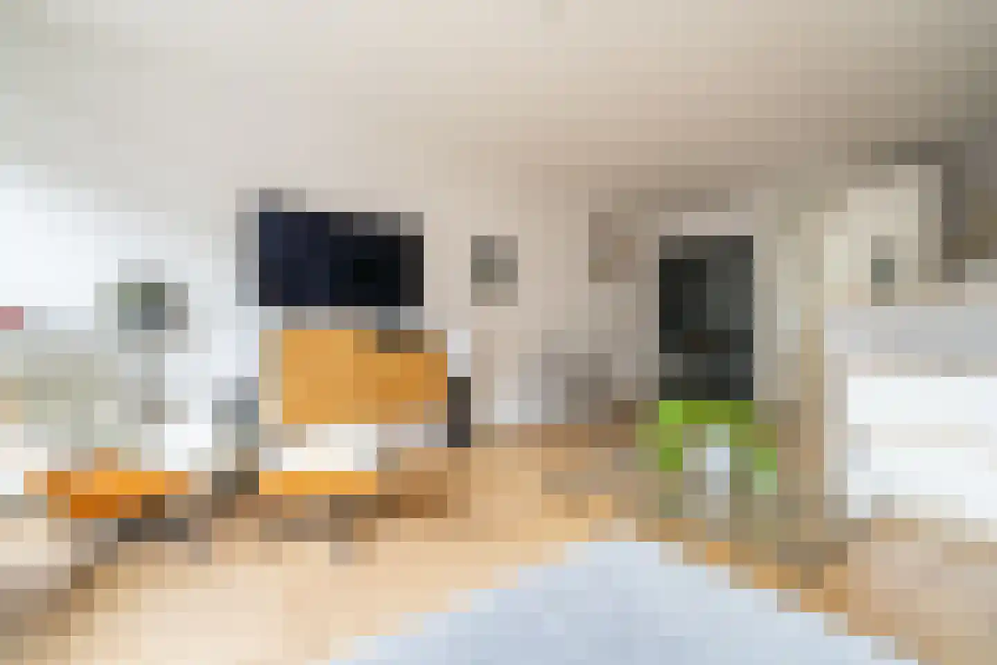 Spinnewiel 10 Laren thumbnail 10