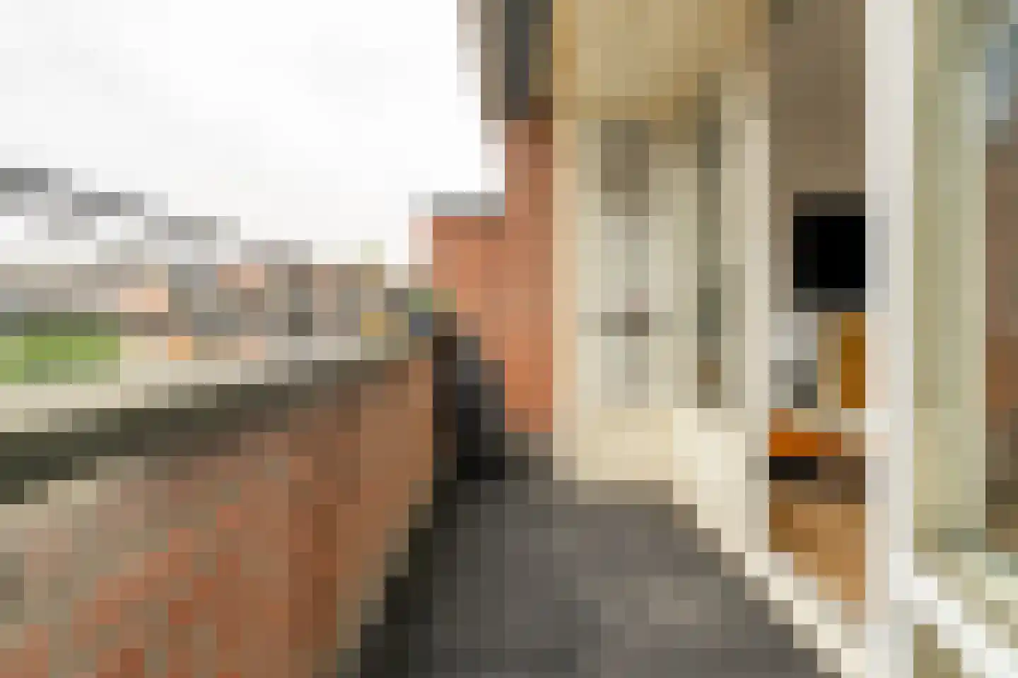 Spinnewiel 10 Laren thumbnail 14