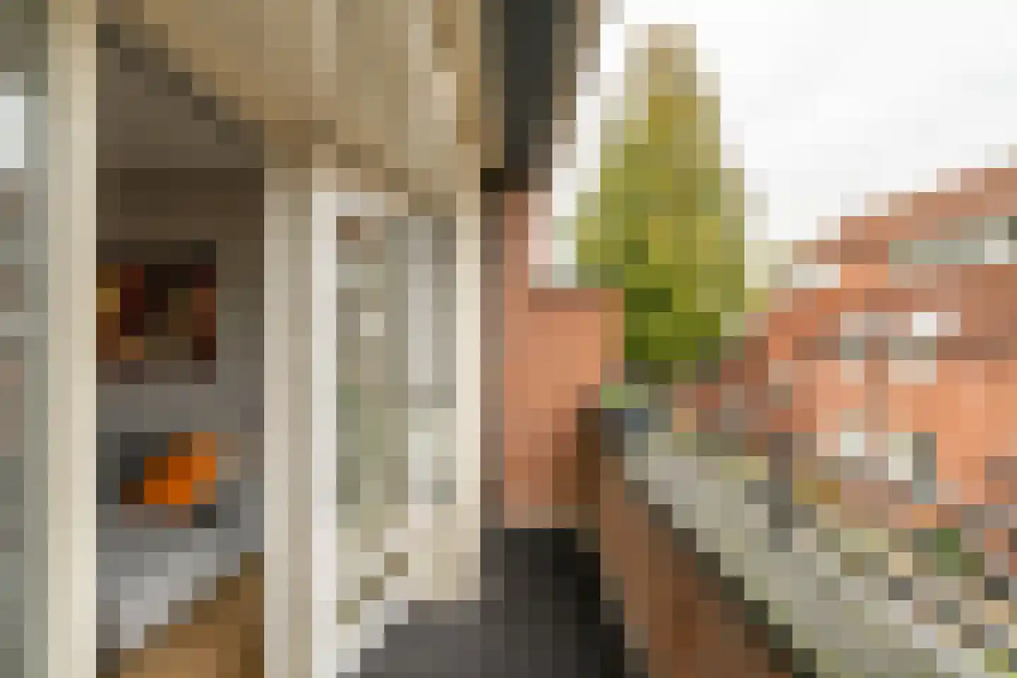 Spinnewiel 10 Laren thumbnail 15