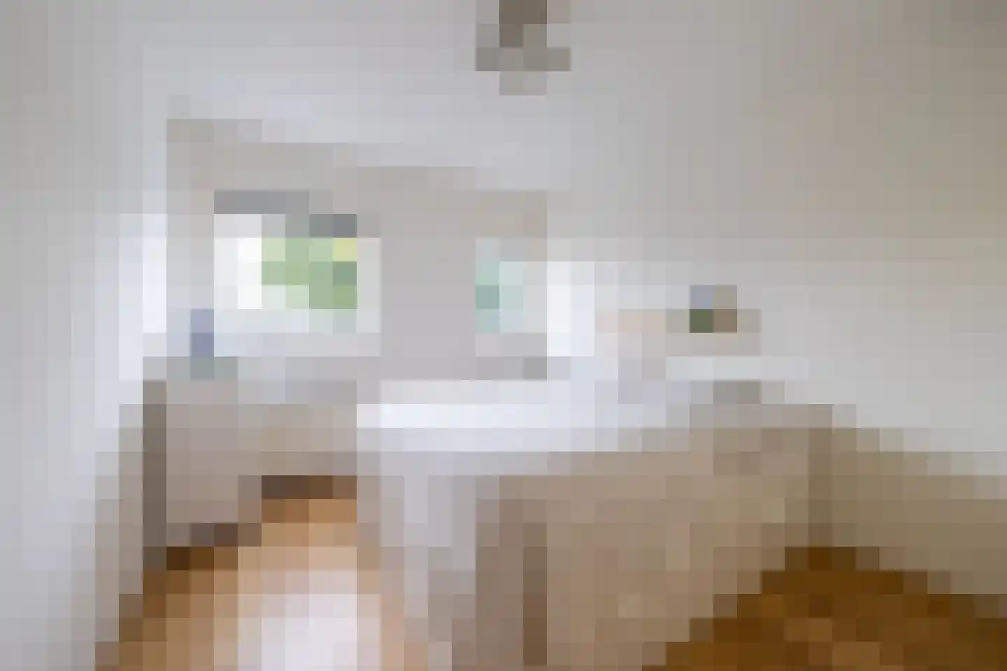 Spinnewiel 10 Laren thumbnail 19