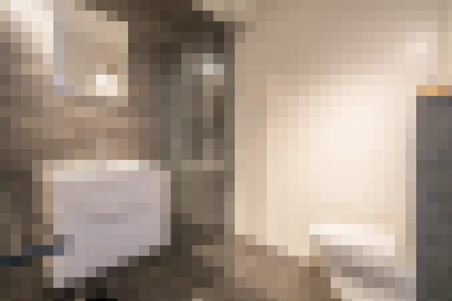 Spinnewiel 10 Laren thumbnail 22