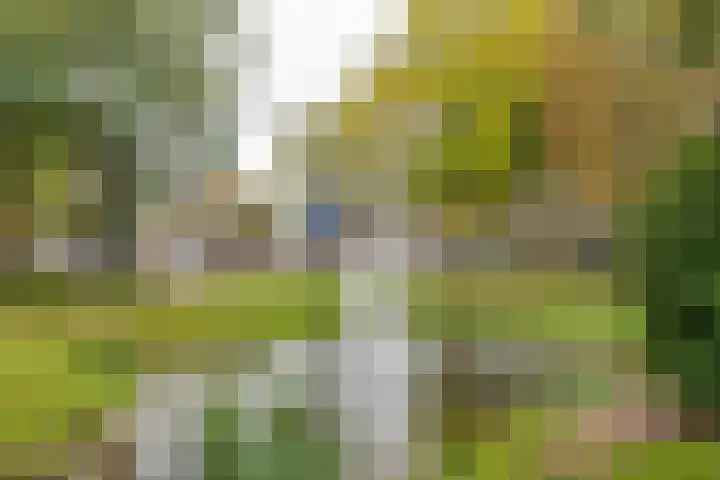 Spinnewiel 10 Laren thumbnail 26