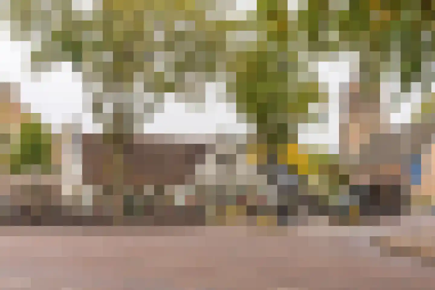 Spinnewiel 10 Laren thumbnail 29