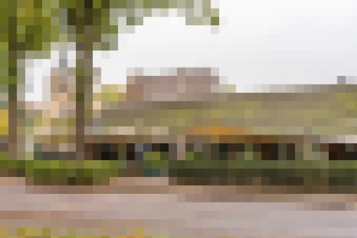 Spinnewiel 10 Laren thumbnail 30
