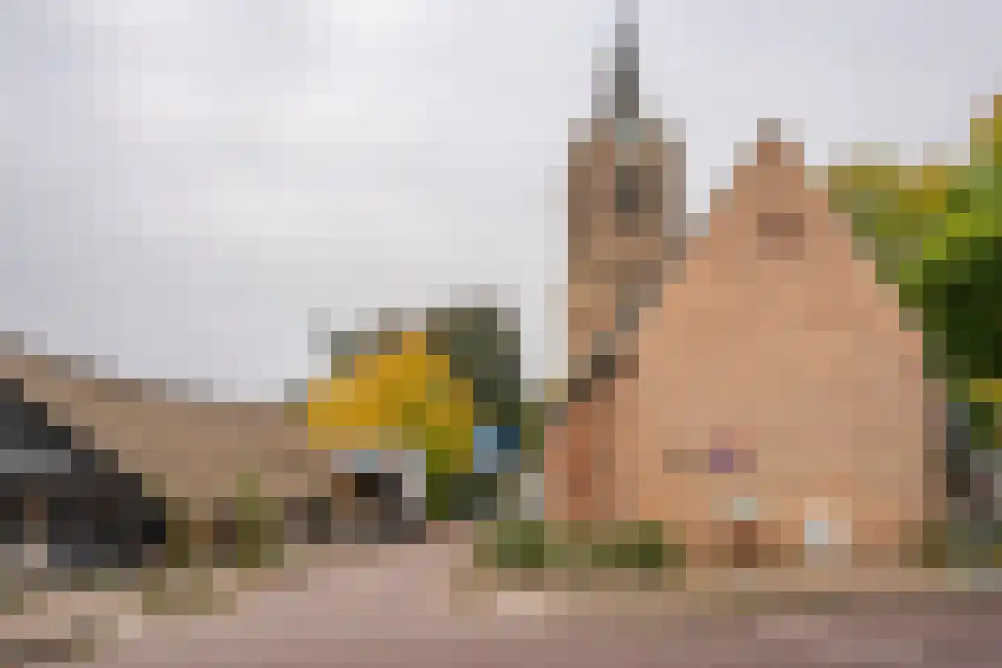 Spinnewiel 10 Laren thumbnail 31