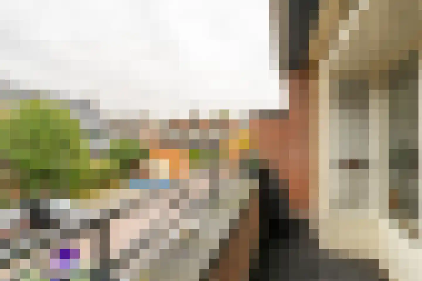 Spinnewiel 10 Laren thumbnail 5