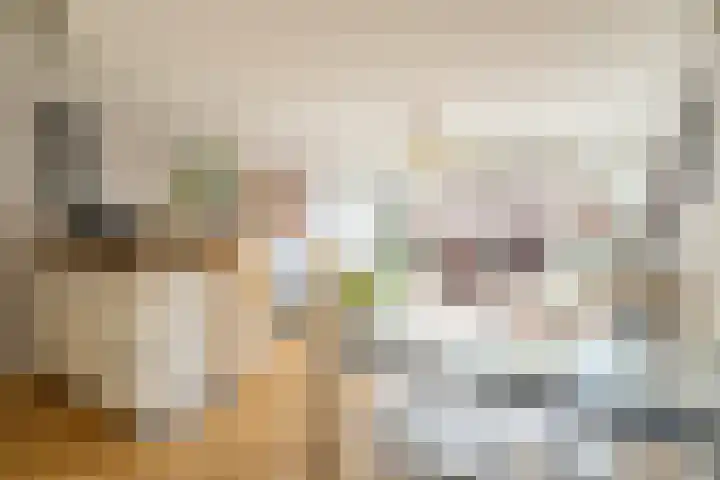 Spinnewiel 10 Laren thumbnail 7