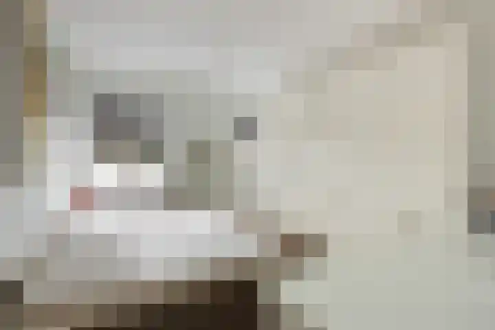 Spinnewiel 14 Laren thumbnail 11