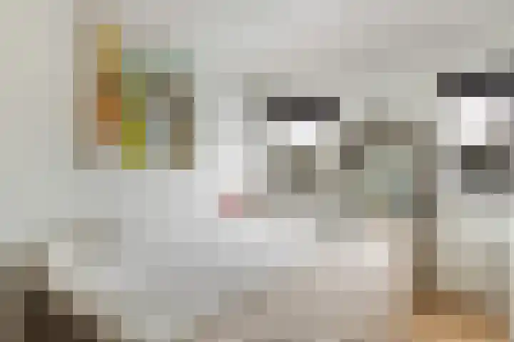 Spinnewiel 14 Laren thumbnail 12