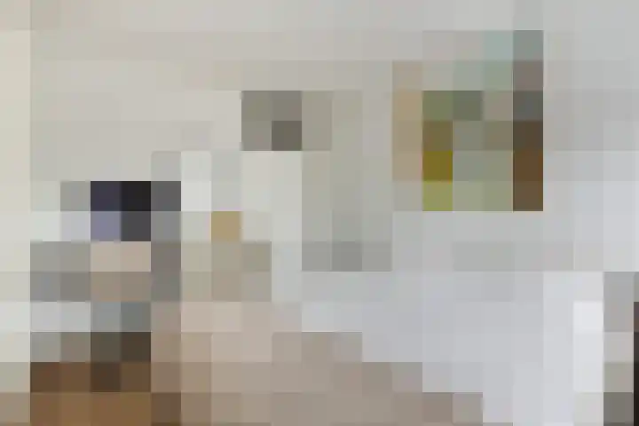Spinnewiel 14 Laren thumbnail 13