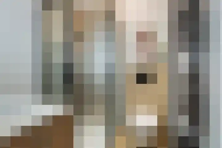 Spinnewiel 14 Laren thumbnail 14
