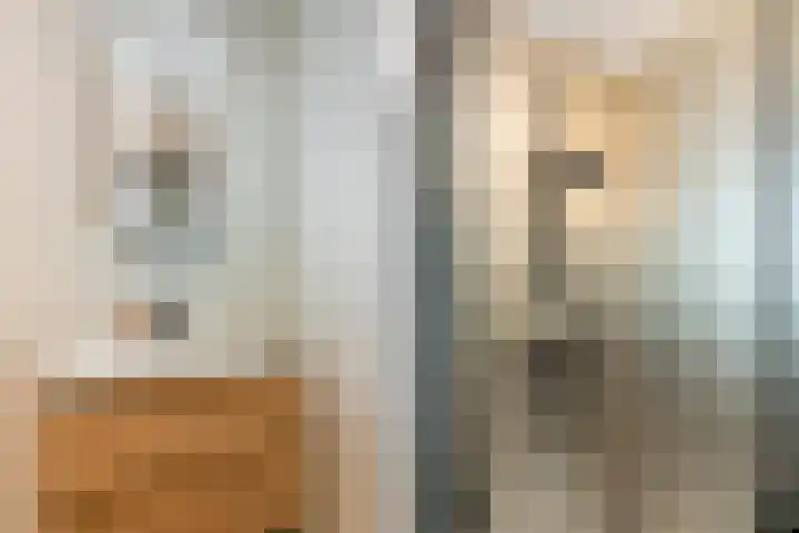 Spinnewiel 14 Laren thumbnail 15