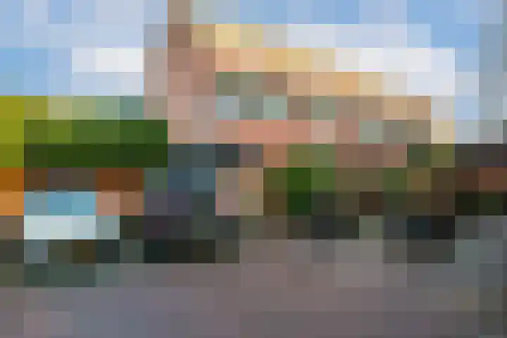 Spinnewiel 14 Laren thumbnail 19
