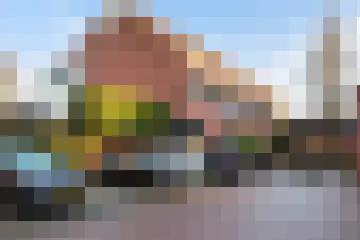Spinnewiel 14 Laren thumbnail 20