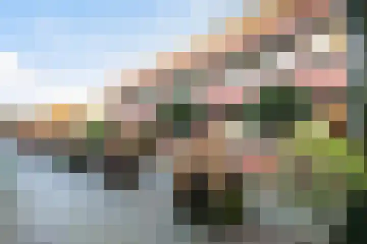 Spinnewiel 14 Laren thumbnail 21
