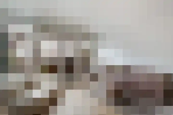 Spinnewiel 14 Laren thumbnail 5