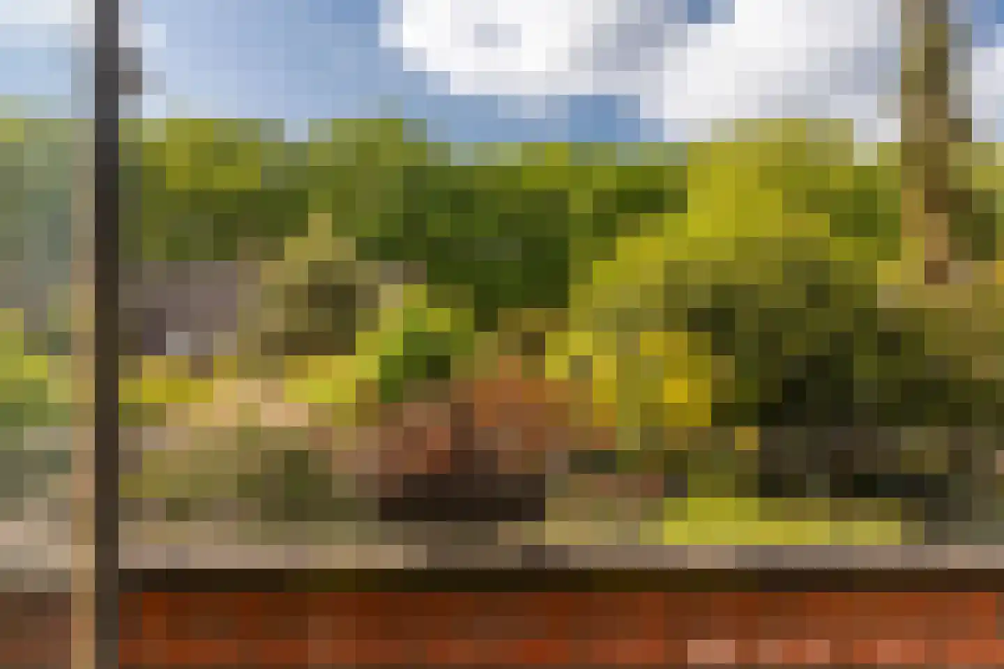 Spinnewiel 15 Laren thumbnail 19