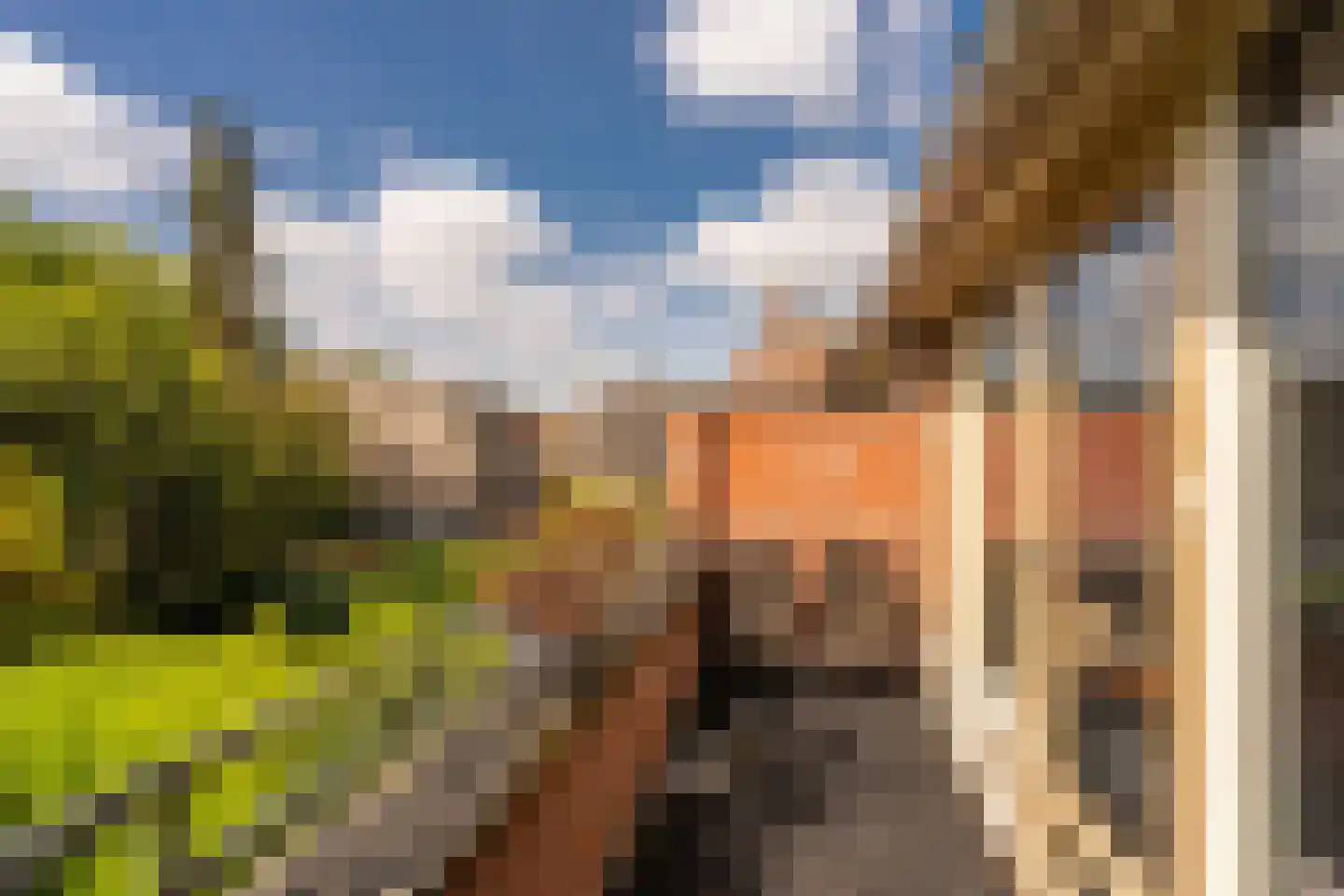 Spinnewiel 15 Laren thumbnail 20