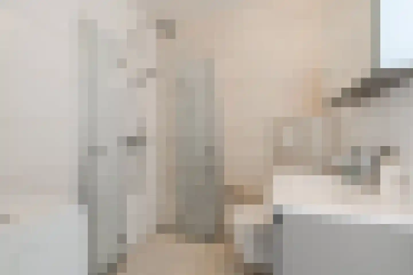 Spinnewiel 15 Laren thumbnail 24