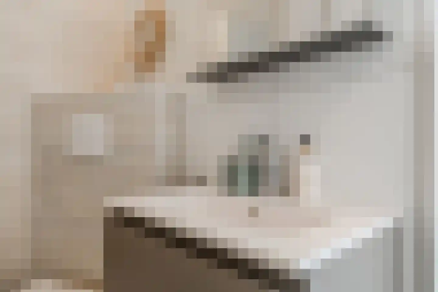 Spinnewiel 15 Laren thumbnail 25