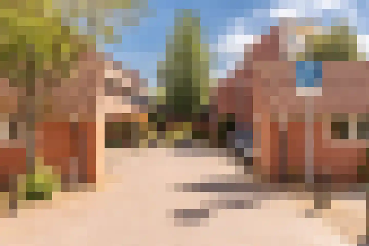Spinnewiel 15 Laren thumbnail 29