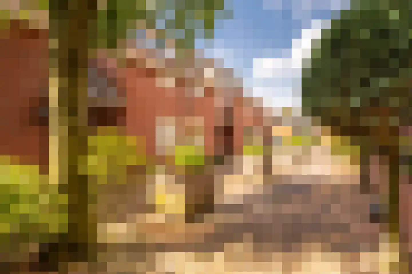 Spinnewiel 15 Laren thumbnail 30