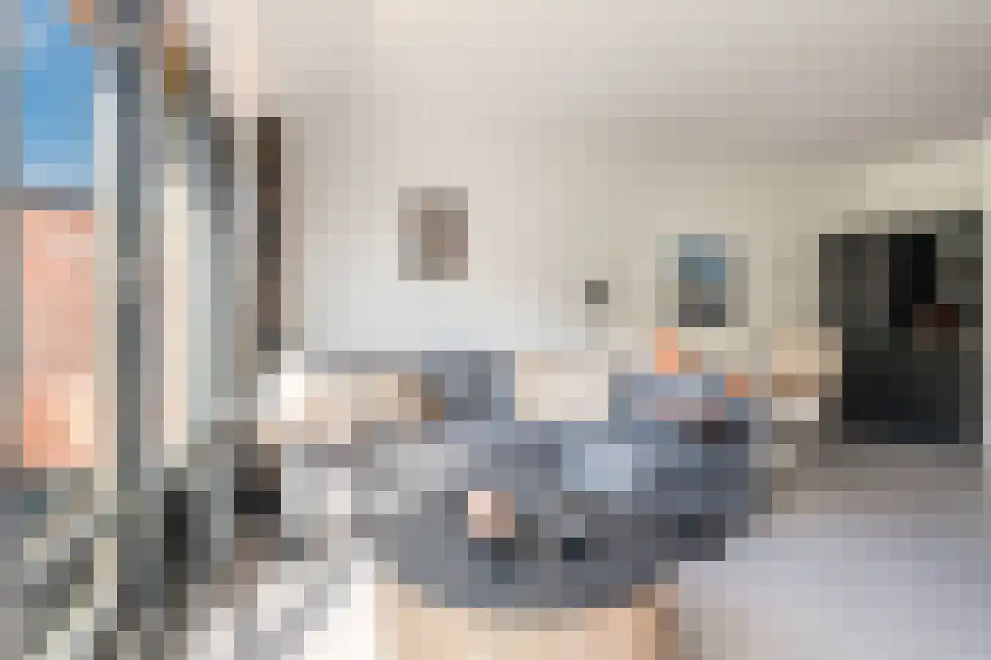 Spinnewiel 15 Laren thumbnail 9