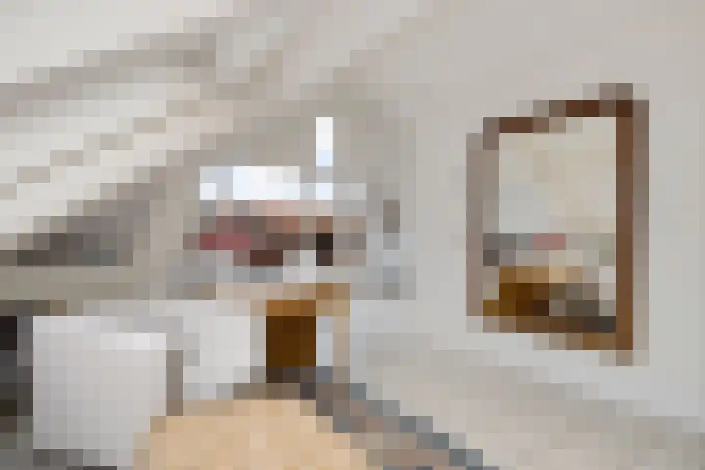 Spinnewiel 21 Laren thumbnail 14