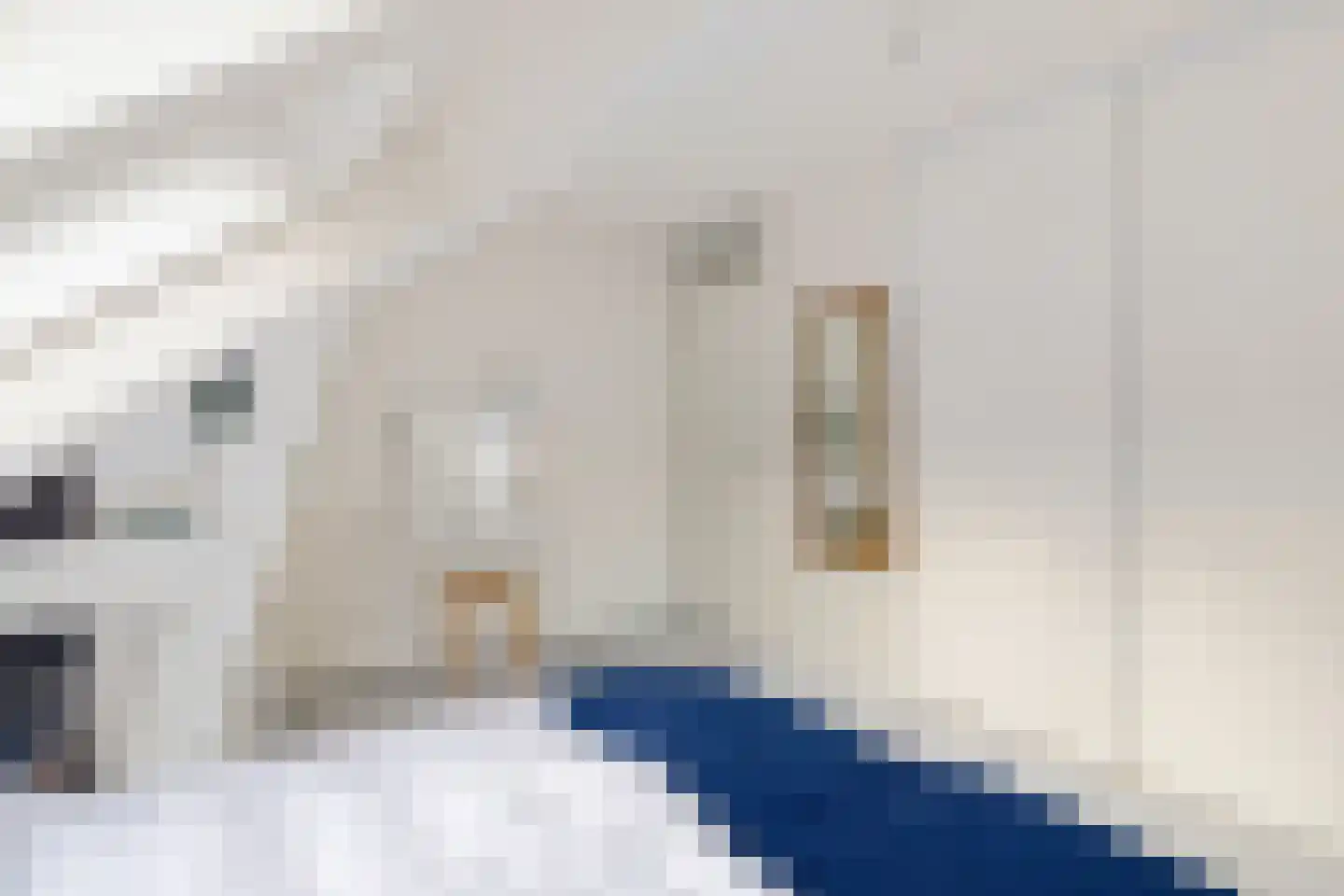 Spinnewiel 21 Laren thumbnail 18