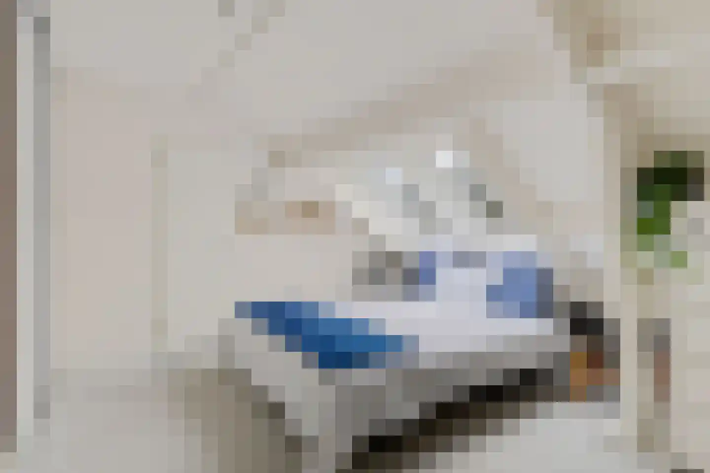 Spinnewiel 21 Laren thumbnail 24