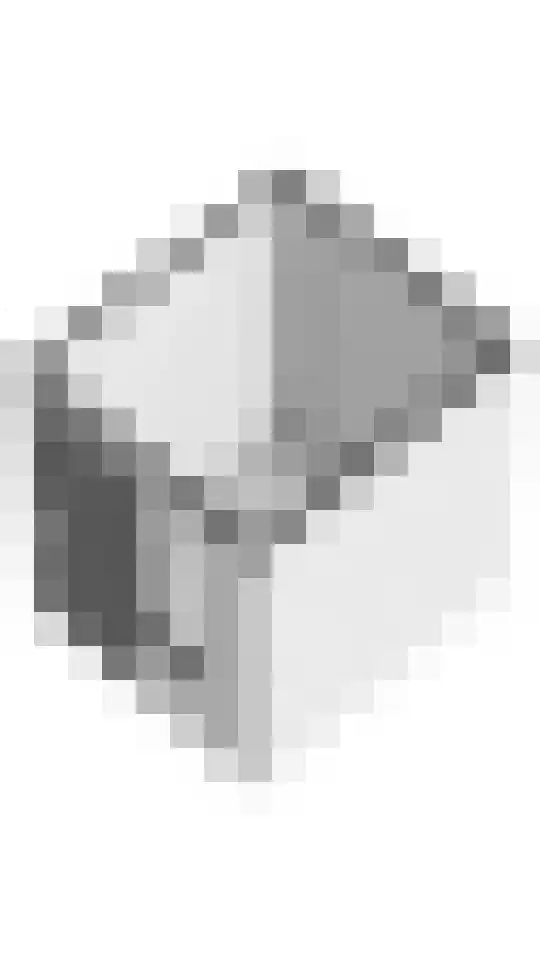 Spinnewiel 21 Laren thumbnail 38