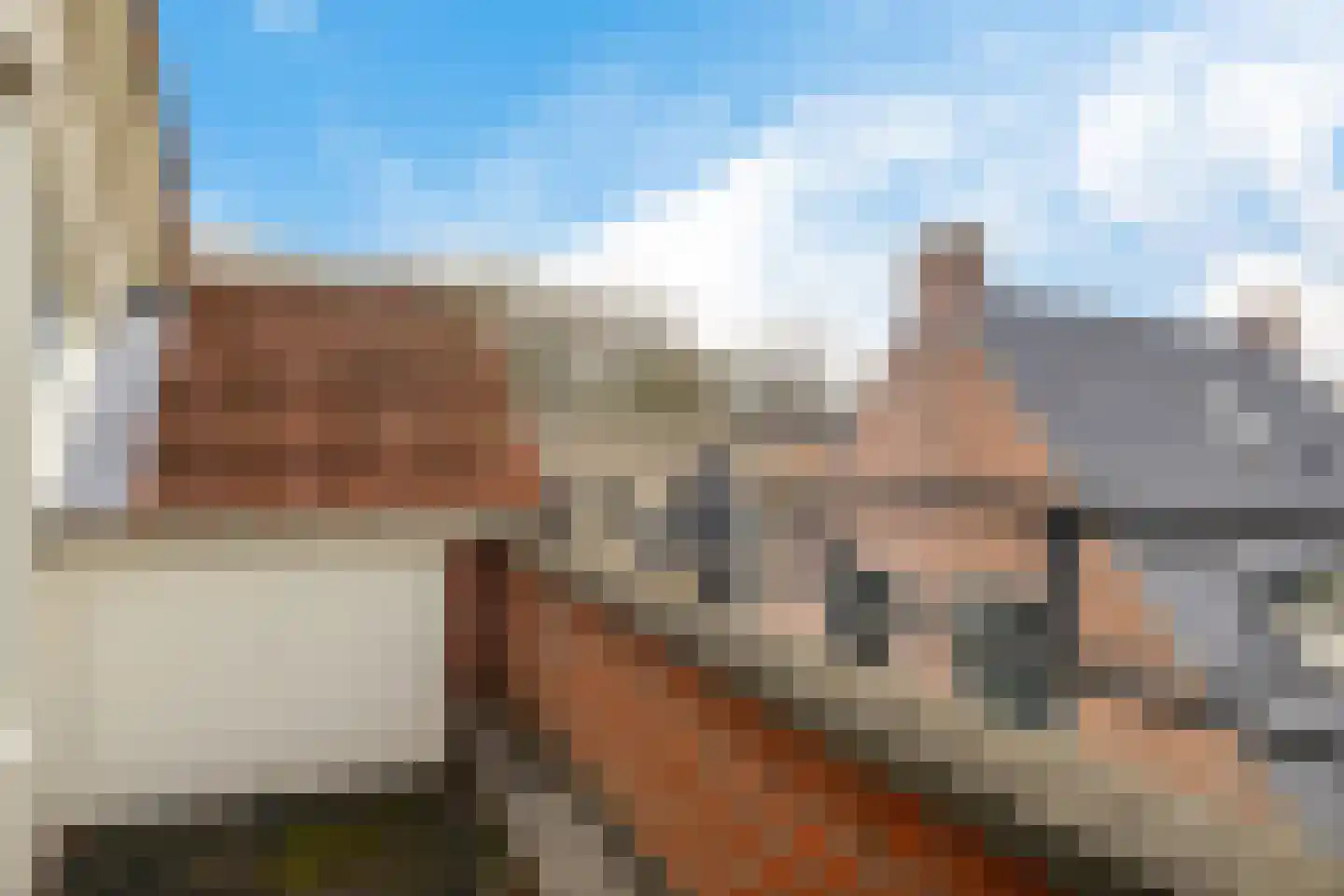 Spinnewiel 21 Laren thumbnail 8