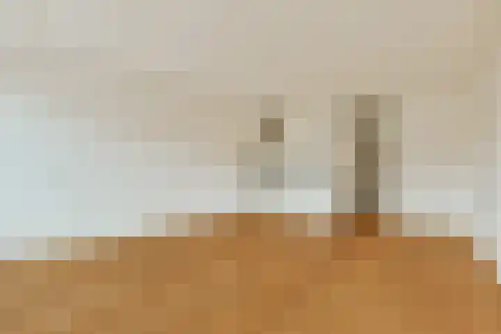 Spinnewiel 22 Laren thumbnail 11