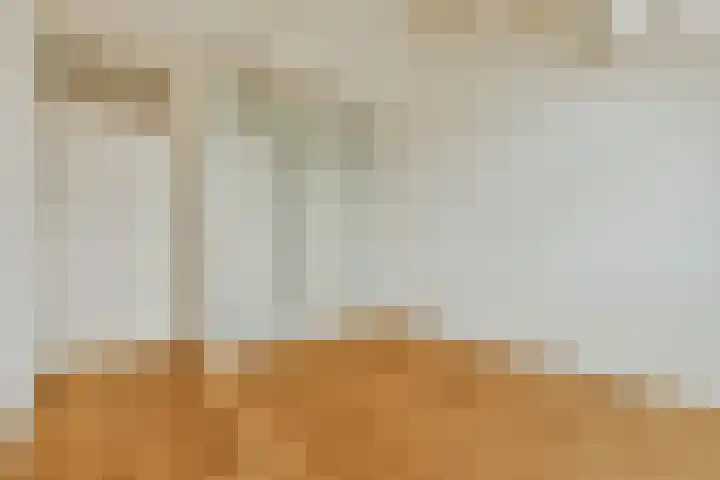 Spinnewiel 22 Laren thumbnail 16