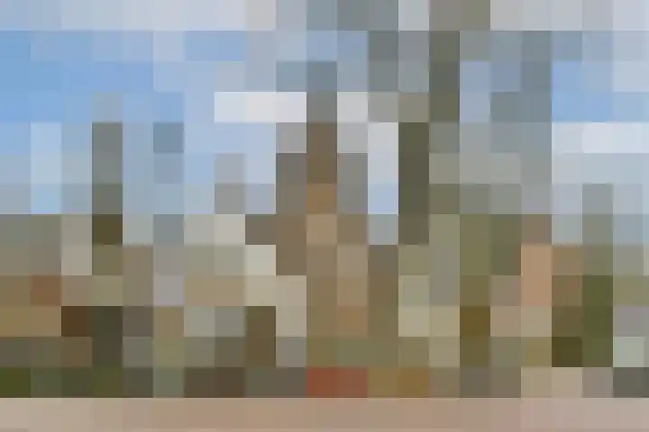 Spinnewiel 22 Laren thumbnail 21