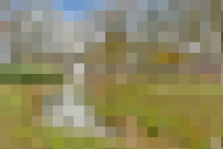 Spinnewiel 22 Laren thumbnail 22