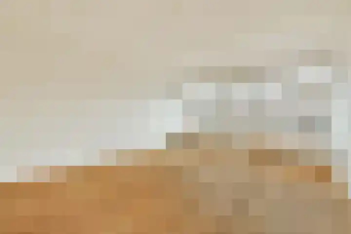 Spinnewiel 22 Laren thumbnail 9