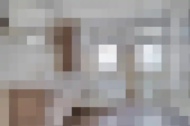 Spinnewiel 8 Prinsenbeek thumbnail 23