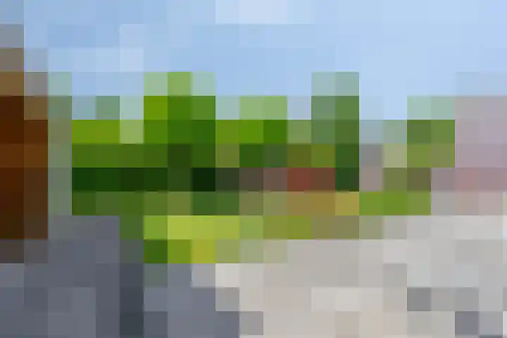 Spinnewiel 8 Prinsenbeek thumbnail 27