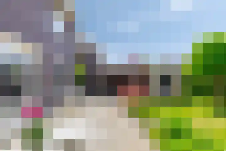 Spinnewiel 8 Prinsenbeek thumbnail 28