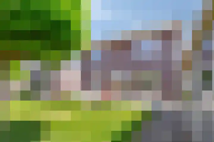 Spinnewiel 8 Prinsenbeek thumbnail 29