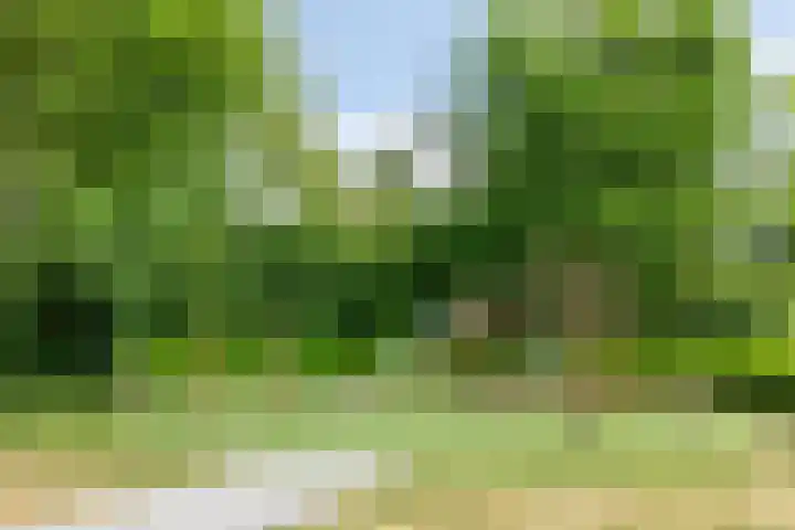 Spinnewiel 8 Prinsenbeek thumbnail 34
