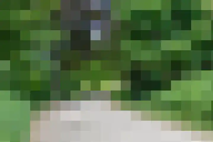 Spinnewiel 8 Prinsenbeek thumbnail 35