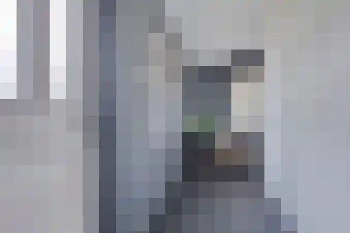 Spinnewiel 8 Prinsenbeek thumbnail 6