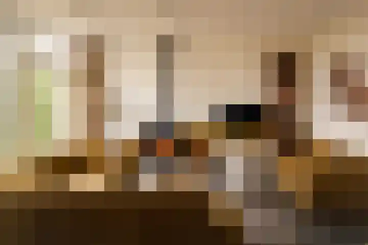 Spinola 31 Maastricht thumbnail 5