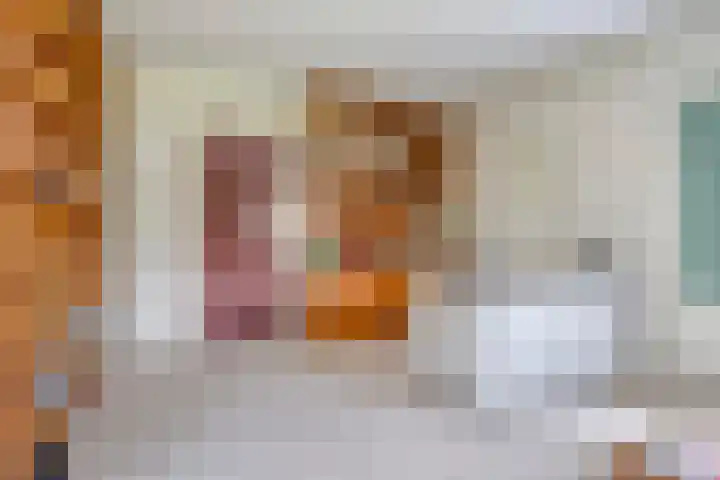 Spinolaberg 12 Halsteren thumbnail 10