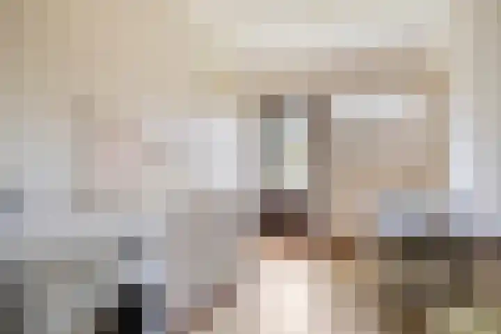 Spinolaberg 12 Halsteren thumbnail 19