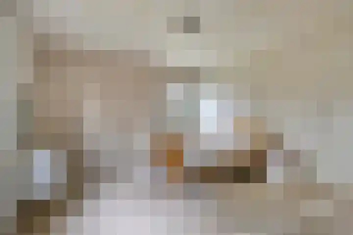 Spinolaberg 12 Halsteren thumbnail 22