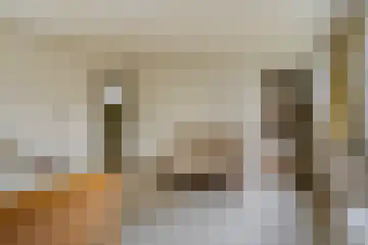 Spinolaberg 12 Halsteren thumbnail 23