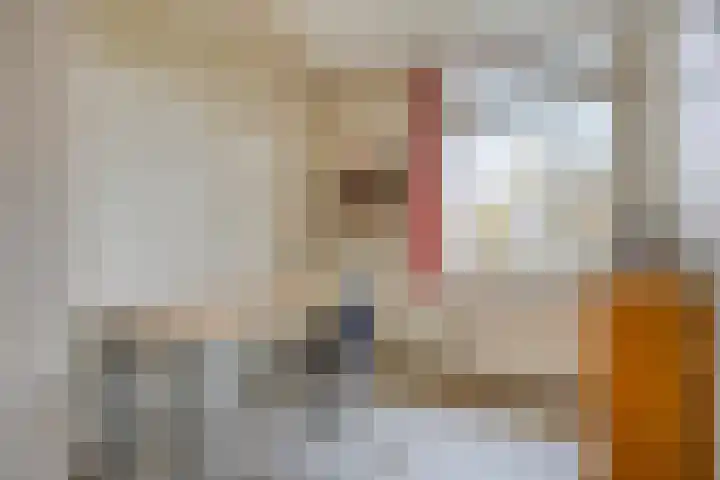 Spinolaberg 12 Halsteren thumbnail 29